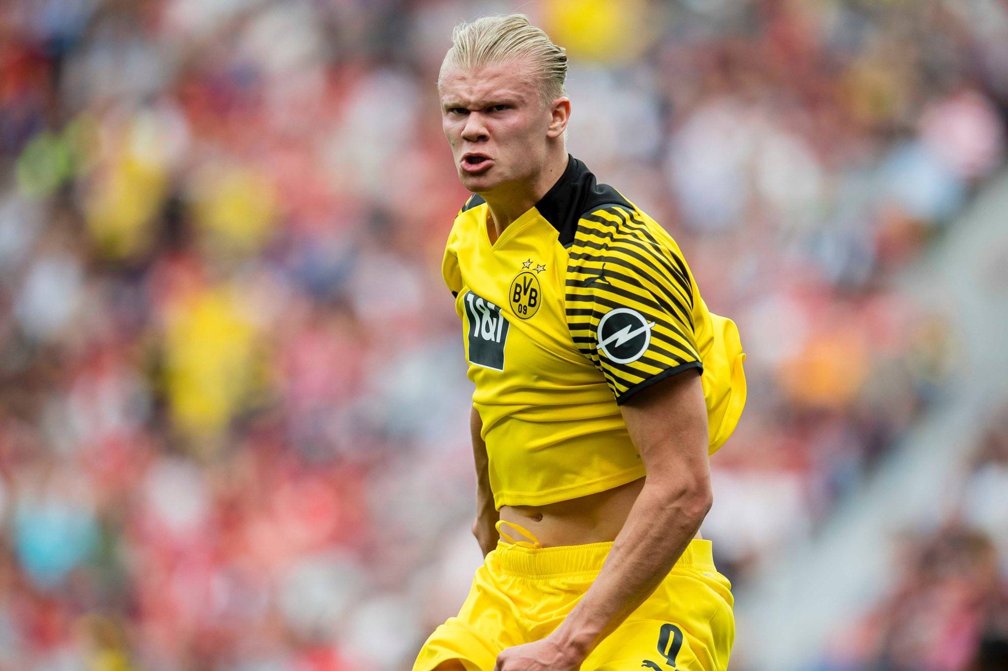 芝加哥小熊在 2024 年底宣布将与其队史博物馆进行全面的 VR 交互式升级